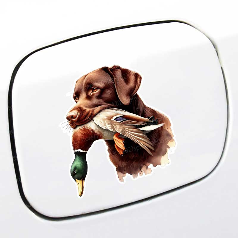 Funny Yellow Labrador Retrieve - Home Bathroom Window recension och pris